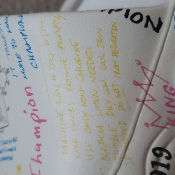 Champion slides - Picture 10 of 12